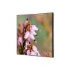 Spannstoff Wanddekoration SET Pinke Blume Erica - 0