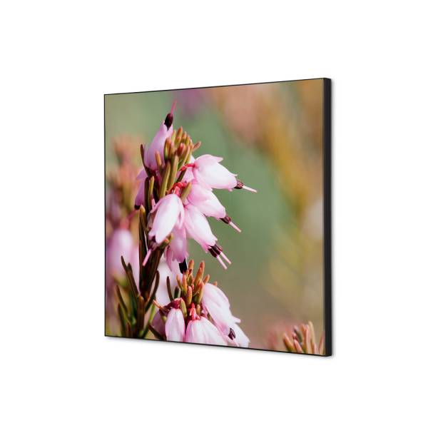 Spannstoff Wanddekoration SET Pinke Blume Erica