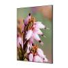 Spannstoff Wanddekoration SET Pinke Blume Erica - 2