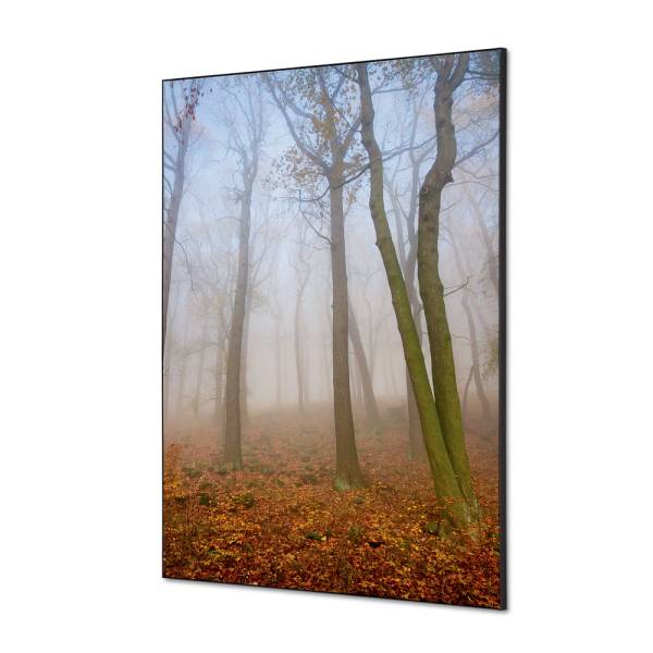 Spannstoff Wanddekoration SET A1 Herbstnebel