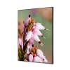 Spannstoff Wanddekoration SET Pinke Blume Erica - 1