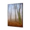 Spannstoff Wanddekoration SET 40 x 40 Herbstnebel - 1